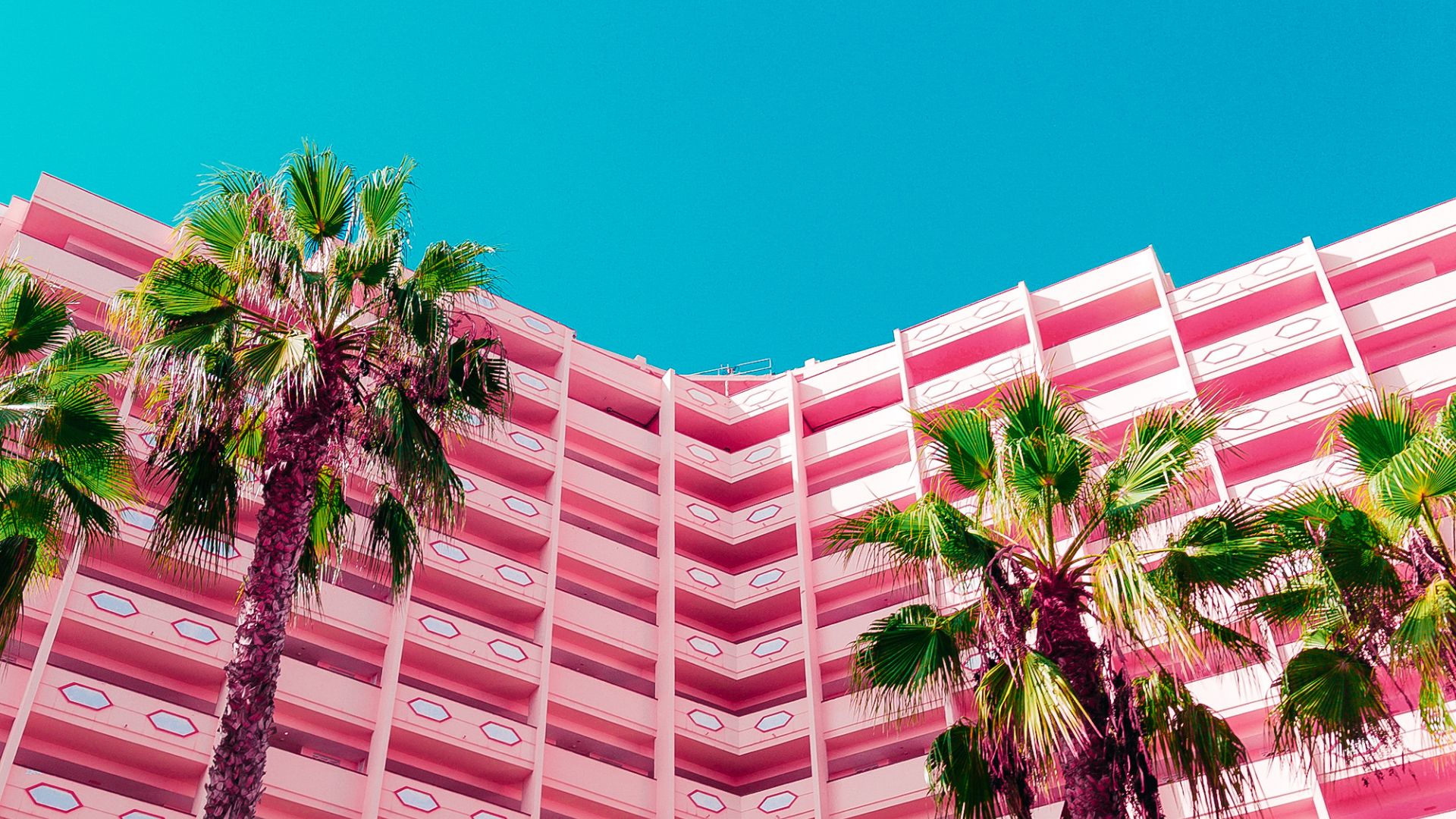 Beyond Bookings: Why Branding and Omnichannel Shape Sustainable Hospitality