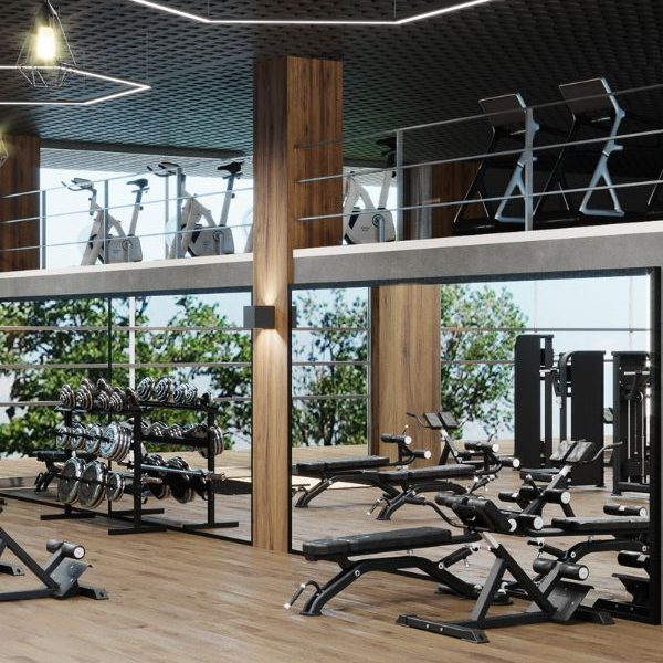 wellness synergy hotel